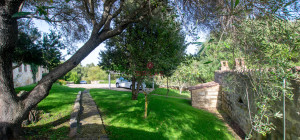 Renovated Stazzo in San Pantaleo