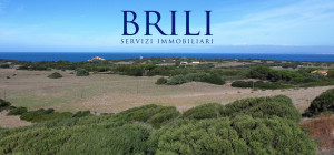 Dream Estate Overlooking Corsica