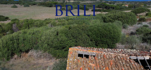 Dream Estate Overlooking Corsica