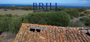 Dream Estate Overlooking Corsica