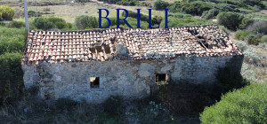 Dream Estate Overlooking Corsica