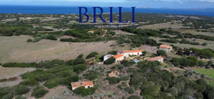 Dream Estate Overlooking Corsica