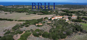 Dream Estate Overlooking Corsica