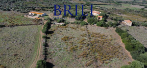 Dream Estate Overlooking Corsica