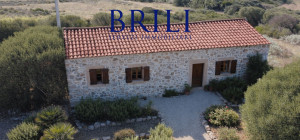 Dream Estate Overlooking Corsica