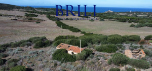 Dream Estate Overlooking Corsica