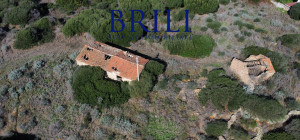 Dream Estate Overlooking Corsica