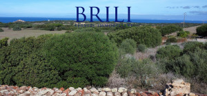 Dream Estate Overlooking Corsica