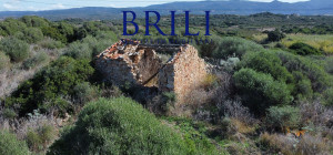 Dream Estate Overlooking Corsica