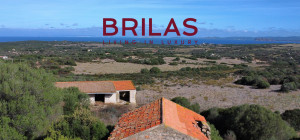 Vista Unica su Vignola e Corsica