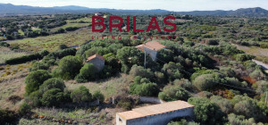 Vista Unica su Vignola e Corsica