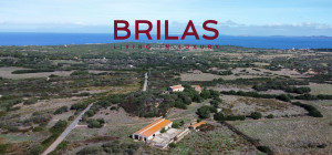 Vista Unica su Vignola e Corsica