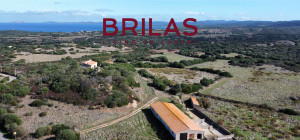 Vista Unica su Vignola e Corsica