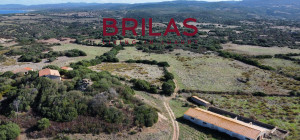 Vista Unica su Vignola e Corsica