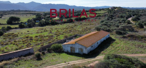 Vista Unica su Vignola e Corsica