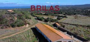 Vista Unica su Vignola e Corsica