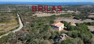 Vista Unica su Vignola e Corsica