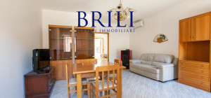 Tradition in the Heart of Anglona: Spacious Ground Floor with Private Courtyard