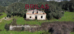 Tenuta con Sughereta e Borgo Storico a Tempio Pausania