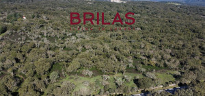 Tenuta con Sughereta e Borgo Storico a Tempio Pausania