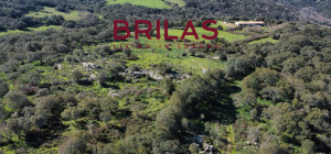 Tenuta con Sughereta e Borgo Storico a Tempio Pausania