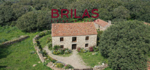 Tenuta con Sughereta e Borgo Storico a Tempio Pausania