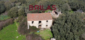 Tenuta con Sughereta e Borgo Storico a Tempio Pausania