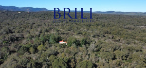 Cork Oak Estate in the Heart of Gallura