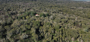 Cork Oak Estate in the Heart of Gallura