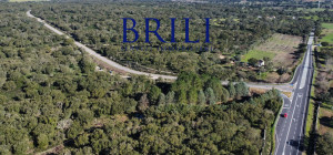 Cork Oak Estate in the Heart of Gallura