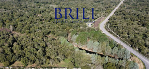 Cork Oak Estate in the Heart of Gallura