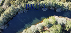 Cork Oak Estate in the Heart of Gallura