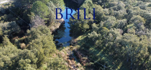 Cork Oak Estate in the Heart of Gallura