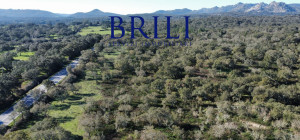 Cork Oak Estate in the Heart of Gallura