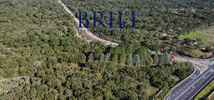 Cork Oak Estate in the Heart of Gallura