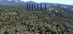 Cork Oak Estate in the Heart of Gallura