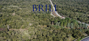 Cork Oak Estate in the Heart of Gallura