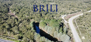 Cork Oak Estate in the Heart of Gallura