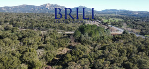 Cork Oak Estate in the Heart of Gallura