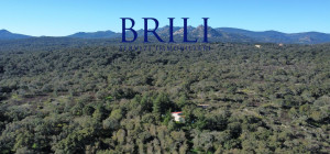 Cork Oak Estate in the Heart of Gallura