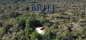 Cork Oak Estate in the Heart of Gallura