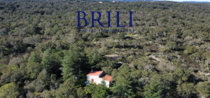 Cork Oak Estate in the Heart of Gallura