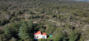Cork Oak Estate in the Heart of Gallura