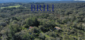 Cork Oak Estate in the Heart of Gallura