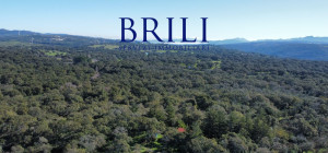 Cork Oak Estate in the Heart of Gallura