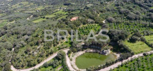 Tenuta di 16 ettari con villa, uliveto e vista mare