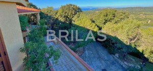 Tenuta di 16 ettari con villa, uliveto e vista mare