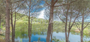 Tenuta di 16 ettari con villa, uliveto e vista mare