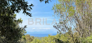 Tenuta di 16 ettari con villa, uliveto e vista mare
