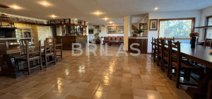 Tenuta di 16 ettari con villa, uliveto e vista mare